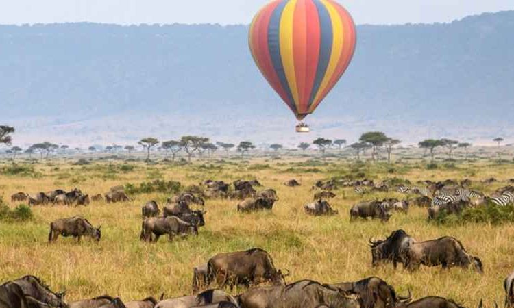 3 Days 2 Nights Maasai Mara Group Joining Safari