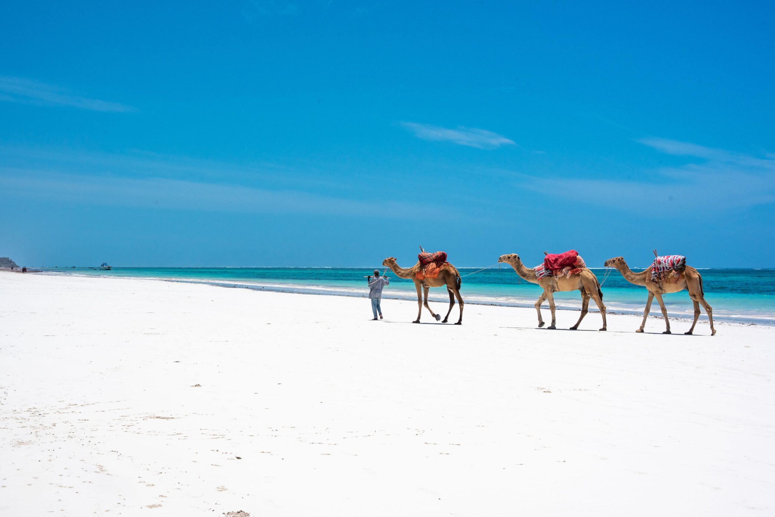 3 Days 2 Nights Mombasa Getaway (SGR Deal) - Gallery Image