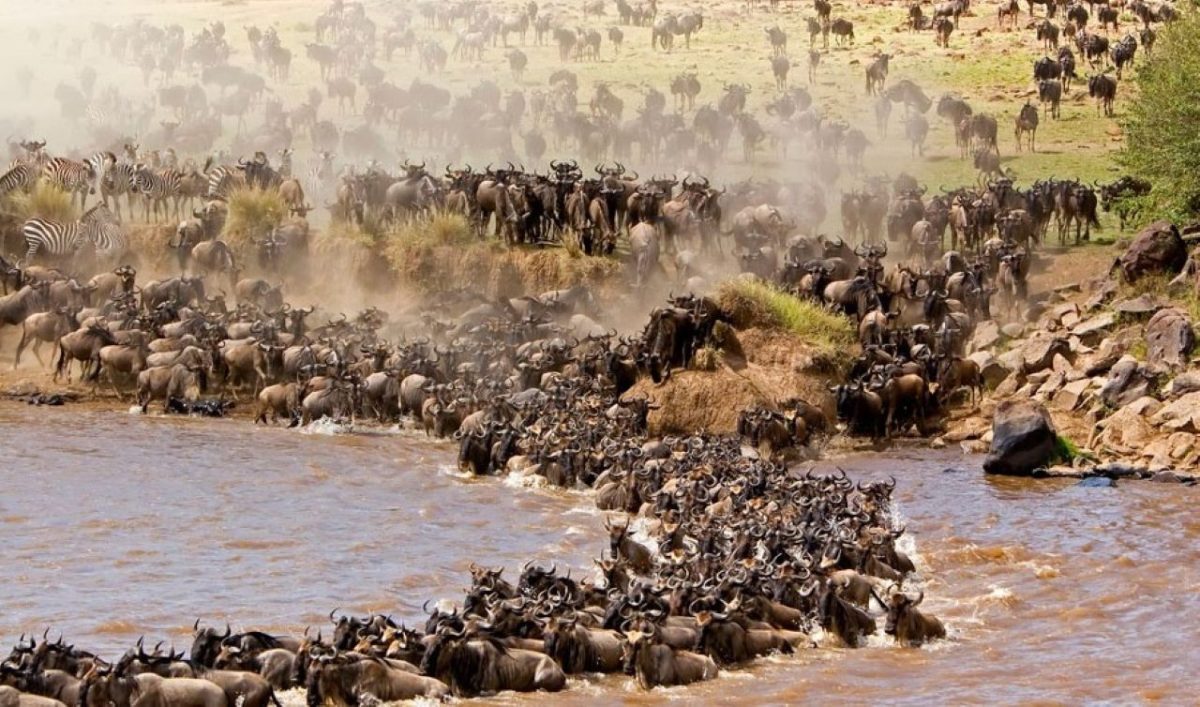 4 Days Maasai Mara Safari